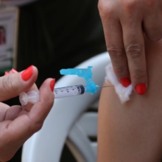 Vacina contra a dengue: prioridade para imunização será para faixa entre 6 e 16 anos