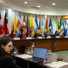 Corte IDH institui acompanhamento psicológico a vítimas que testemunham no Tribunal