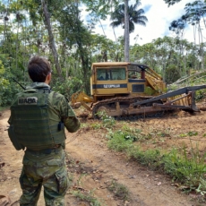 Terra Yanomami: servidores do Meio Ambiente anunciam suspensão das atividades