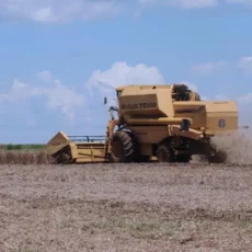 Aquisição e arrendamento de imóvel rural por estrangeiro