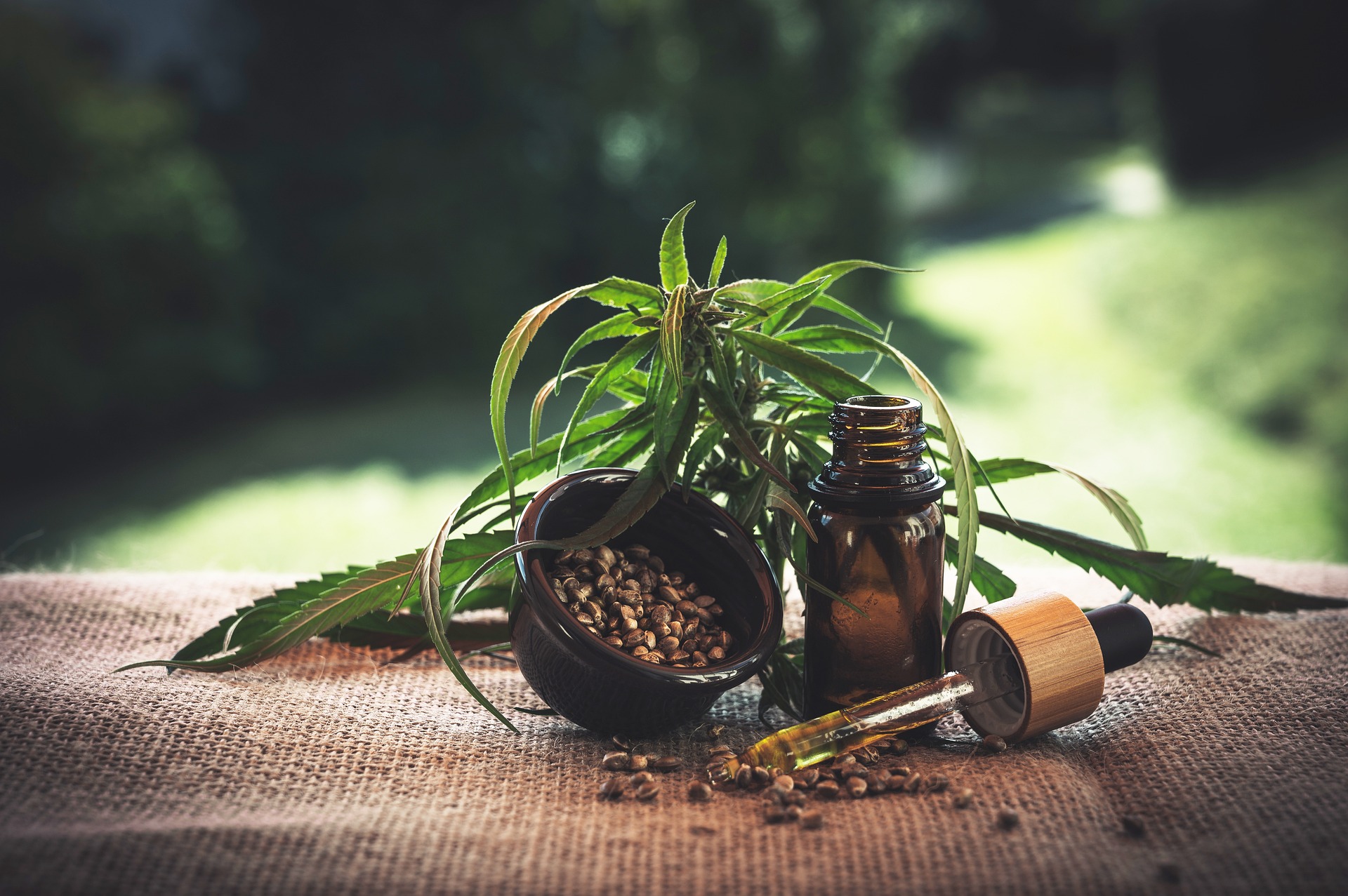 anvisa cannabis