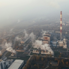Brasil precisa de certificadora de créditos de carbono, diz governador do Pará
