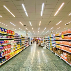 Brasil alcança posição de maior exportador de alimentos industrializados, diz ABIA