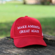 Trump e a importância dos partidos