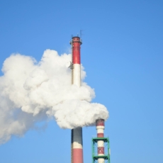 Mercado de Carbono: regulação no Brasil é inadiável