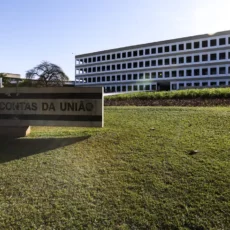 Soluções consensuais no TCU: entre comemorações e críticas