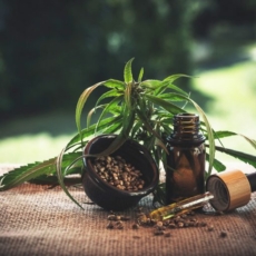 Minuta de decreto que libera cannabis para fins medicinais será apresentada em junho