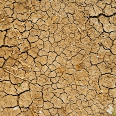 Governo retoma Comissão Nacional de Combate à Desertificação