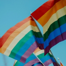 ‘Pobres criaturas’: a proibição de crianças participarem de Paradas LGBTQIA+