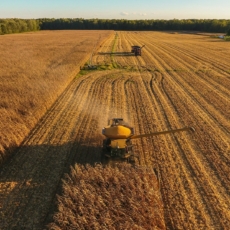 Pensando o agronegócio de forma estratégica