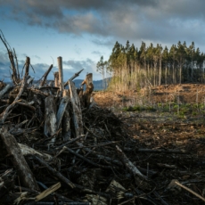 As disputas pelo enquadramento climático legal