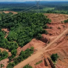 Fux pede informações a prefeituras e órgãos federais sobre garimpo no Pará