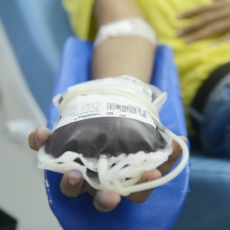 Perspectivas sobre a PEC do Plasma no Brasil