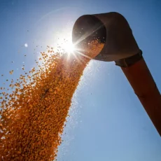 Economia brasileira cresceu 2,9% em 2023, aponta IBGE