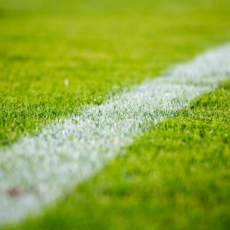 Adesão do desporto à sustentabilidade