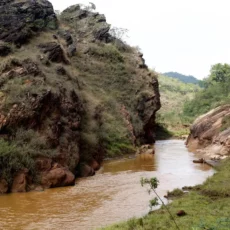 Carf: despesas relacionadas ao rompimento da barragem de Fundão são indedutíveis