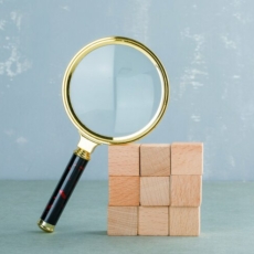 O que é e o que pode ser a transparência administrativa em 2024?