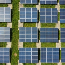Fonte solar e transição energética: sem espaço para retrocessos
