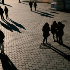 A Linha de Sombra: quando talentos são minados por gestores inseguros