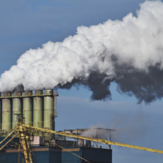 Relações governamentais e sustentabilidade: o papel do lobby na transição climática