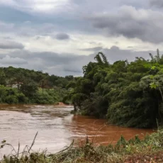 Brumadinho: R$ 66 milhões pagos pela Vale serão destinados a parques nacionais