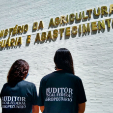 Auditores fiscais agropecuários aceitam proposta do MGI e encerram operação padrão