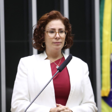 STF torna Carla Zambelli e Walter Delgatti réus por invasão aos sistemas do Judiciário