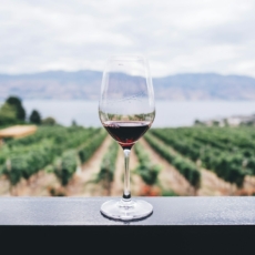 Cada taça, um porcento: o vinho e a reforma tributária