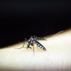Pai de adolescente morta por dengue após negligência médica deve ser indenizado