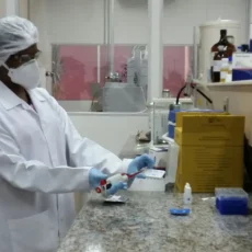 Anvisa vai revisar regras para pesquisas de terapias avançadas