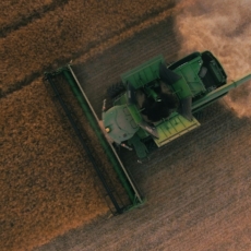 Os desafios do agronegócio brasileiro com o desenvolvimento da IA