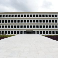 Julgando o consenso: o caso Oi no TCU