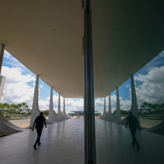 Reclamação constitucional e suas dimensões ética e transsubjetiva