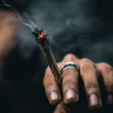STF  – julgamento da descriminalização do porte de maconha – sessão de 26/6/2024