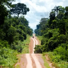 Implementar o Código Florestal é estratégico para o Brasil