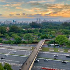 Carros híbridos flex são o futuro da mobilidade no Brasil