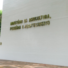 Novo cenário das sanções do Ministério da Agricultura