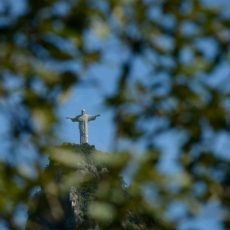 Pequenos negócios estão no DNA da marca Brasil