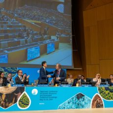 Novo tratado da OMPI sobre recursos genéticos e conhecimentos tradicionais