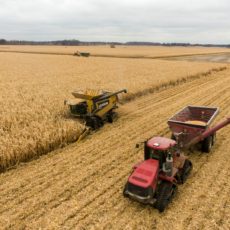 Bens de capital, financiamento privado do agro e o PL 3/24
