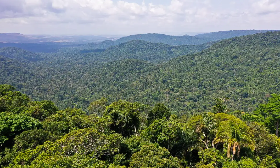 Plataformas socioambientais do IPAM: desenvolvendo códigos para traduzir o ambiente