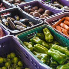 Regulando alimentos em um mundo multiconectado: contexto brasileiro e americano