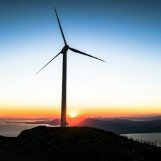 Desafios e soluções para a indústria eólica no Brasil: desvendando a crise
