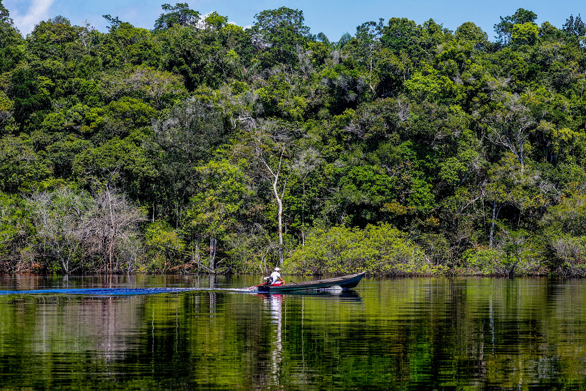 Como a cobertura jornalística pode contribuir com a política ambiental