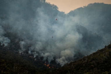 Governança climática: o valor do BNDES para políticas públicas mais efetivas