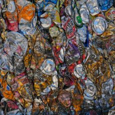 Reforma tributária pode colocar o Brasil na trilha da sustentabilidade