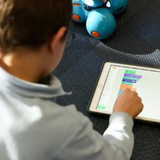 A proteção de crianças e adolescentes no ambiente digital
