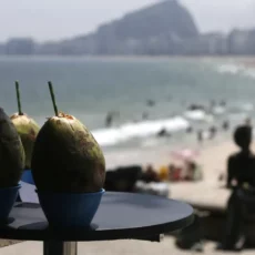 Regulamentação da reforma é crucial para as agências de turismo