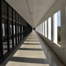 Responsabilidade solidária sob a lente do TCU