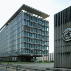 OMS decepciona e apresenta avanços tímidos na reforma do RSI